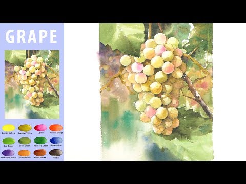 Видео: Виноград - фрукты Пейзажная акварель (sketch & coloring, Arches rough) NAMIL ART