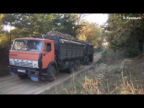 Видео: Уборка сахарной свеклы 2018  | Sugar beet trucks collection