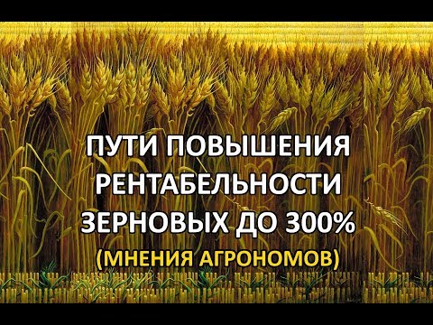 Видео: Рентабельность зерновых 300%