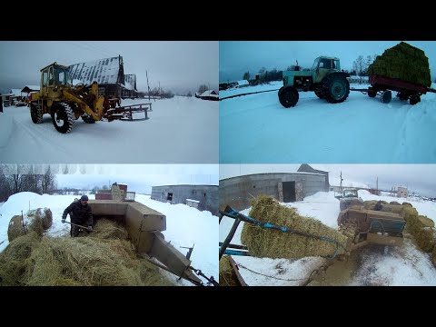 Видео: МТЗ-82, ТО-30, пресс fortschritt  к 454.Перепрессоваваем сено из рулонов в тюки.