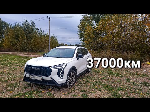 Видео: Пол года в такси на Haval Jolion. Все не так однозначно