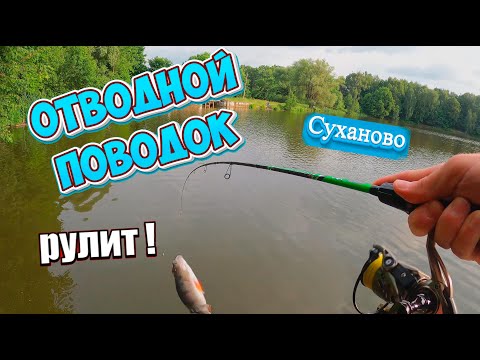Видео: Отводной поводок - это тема! Микроджиг на Сухановском пруду, крупные окуни