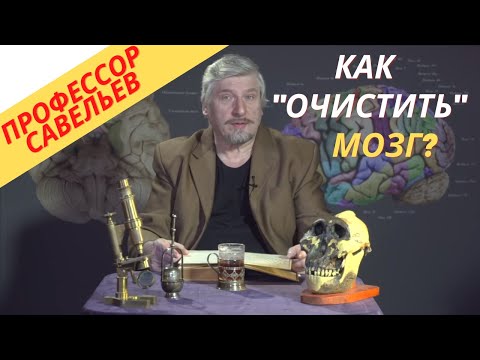 Видео: Профессор Савельев - как "очистить" мозг?