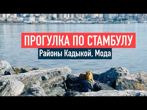 Видео: Стамбул в феврале, прогулка по районам Кадыкой и Мода