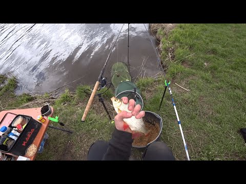 Видео: Ржевский мемориал. Рыбалка на Вазузе с ночёвкой. Весенний фидер. Плотвичка атакует! Панамафиш #9