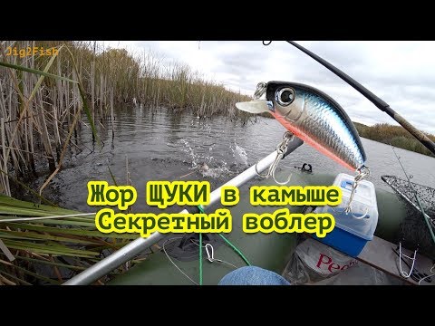 Видео: Ловля ЩУКИ в камыше. Секретный воблер и хитрости проводки