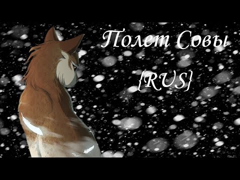 Видео: Полет Совы Глава #1 {RUS} [Warriors]