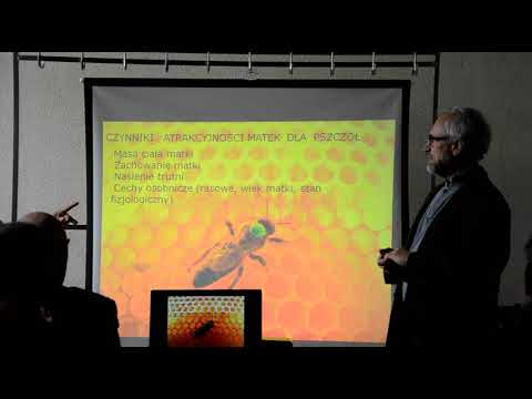 Видео: Кшиштоф Лец- Польский селекционер.