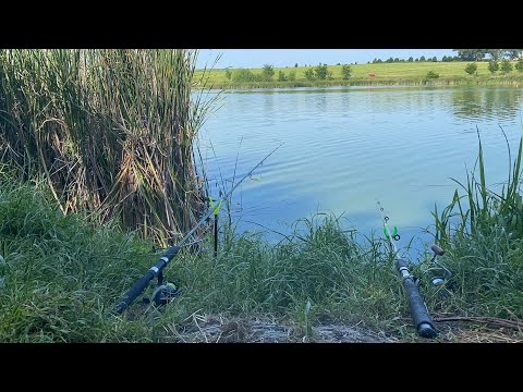 Видео: Ловимо карасів на фідера Рибалка на карася 1ч