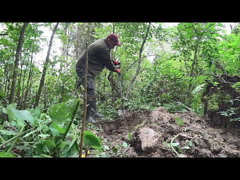 Видео: В поисках старого фундамента в лесу. Золотая лихорадка.
