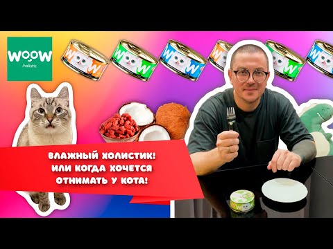 Видео: Влажный корм для кошек WOOW | Супер премиальные консервы для кошек | Очень вкусный корм для кошек