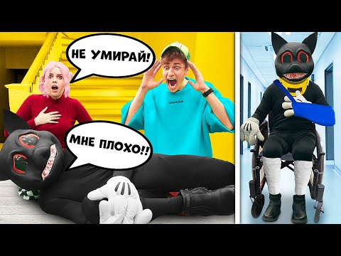 Видео: картун кэт соврал нам что болеет! зачем?😯