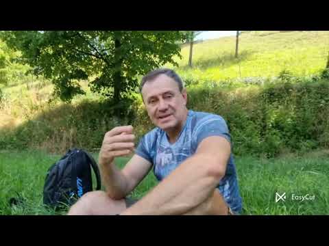 Видео: Еженедельный отдых водителя 🛏️🪑. Регулярный 45-часовой или сокращённый  24-часовой.