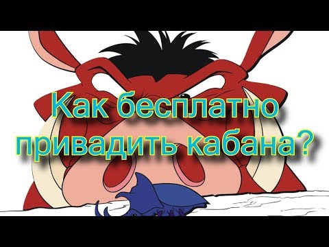 Видео: Как привадить кабана?