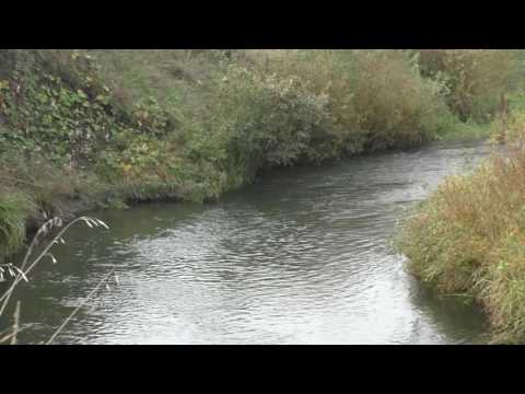 Видео: Посопная Пелетьма (Пензенская область)