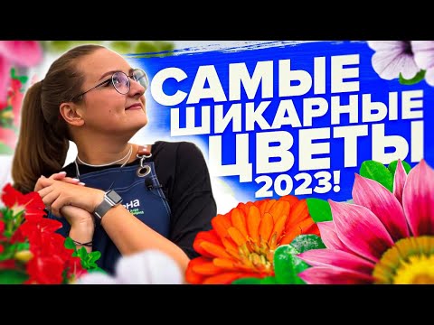 Видео: БЕРИТЕ ИХ в 2024! ТОП НИЗКОРОСЛЫХ ЦВЕТОВ 2023 года от #семенаалтая