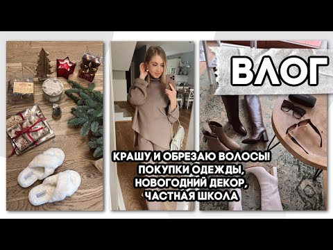 Видео: ВЛОГ: ПОКРАСИЛА ВОЛОСЫ, НОВЫЙ ОБРАЗ, ПОКУПКИ ОДЕЖДЫ, НОВОГОДНИЙ ДЕКОР, ЧАСТНАЯ ШКОЛА, АЛИЭКСПРЕСС