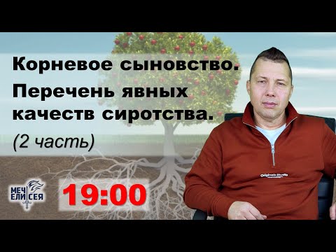 Видео: Корневое сыновство. Перечень явных качеств сиротства (2 часть)_ Руслан Сербук_ 29.10.2025