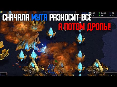Видео: Старкрафт Z VS P Зерг любит быть на базе протосса -  зерглинги потом мута потом дропы!