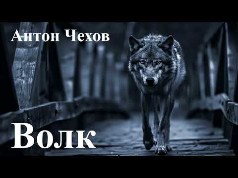 Видео: Антон Чехов. " Волк".