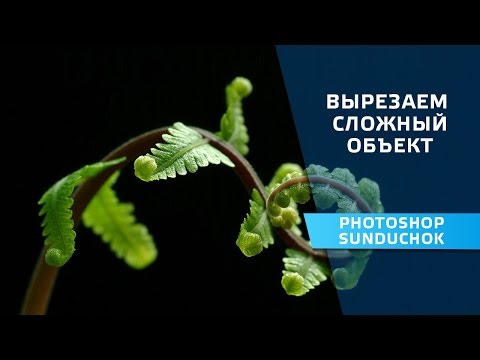 Видео: Как вырезать объект в фотошопе | Вырезаем сложный объект