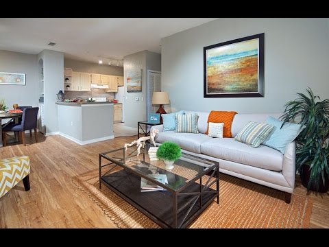 Видео: США. АРЕНДА, ОБЗОР АПАРТАМЕНТОВ в ХОРОШЕМ РАЙОНЕ, ЦЕНЫ, Орландо