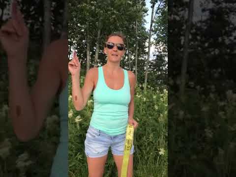 Видео: 🟡 УРОКИ СЛЭКЛАЙНА 🟡  Как правильно установить снять слэклайн. #слэклайн #слеклайн #slackline