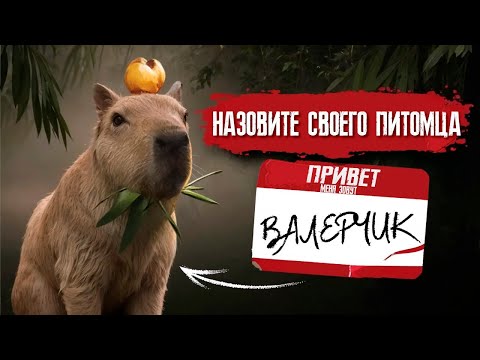Видео: Green Hell - Как приручать животных / Разведение пчел - ГАЙД