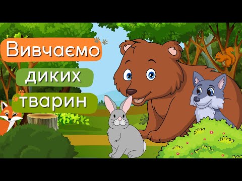 Видео: Дикі тварини для дітей| Вивчаємо лісових звірів