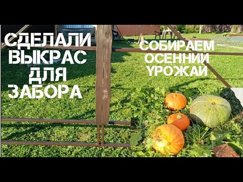 Видео: 🍁Осенние работы и сбор урожая на деревенском участке.
