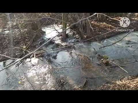 Видео: Вроде с места сдвинулось на КНС2 которая сливает канализацию появилась техника и рабочии.