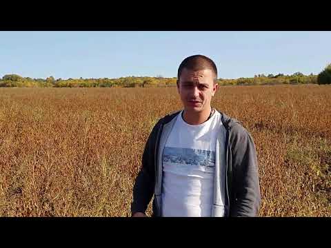 Видео: Пледж на сое 2020 Самарская область