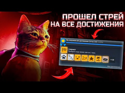 Видео: Я прошел Stray на 100% ДОСТИЖЕНИЙ!