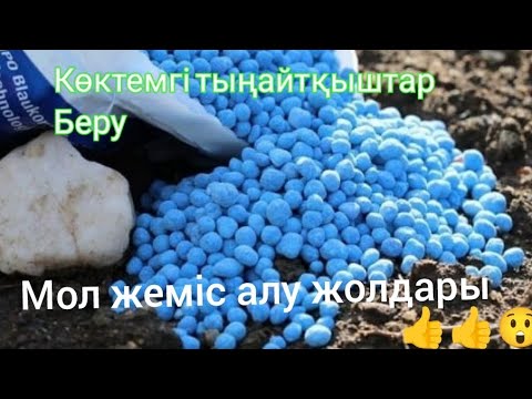 Видео: Көктемгі тыңайтқыштар. Мол жеміс алғыңыз келсе осылай жасаңыз 😲👍👍