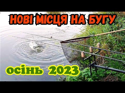 Видео: НОВІ МІСЦЯ НА РІЧЦІ ПІВДЕННИЙ БУГ БІЛЯ СЕЛА МІЗЯКІВ / ЛЯЩІ І КАРАСІ