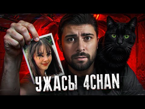 Видео: Самый безумный тред 4Chan
