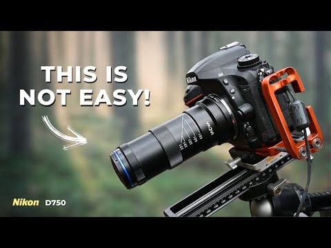 Видео: Я попробовал супермакрофотографию... и потерпел неудачу!