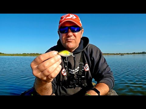Видео: Рыбалка на новом озере * Воблер который спас рыбалку * Рыбалка в августе *