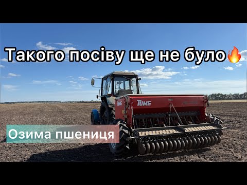Видео: Посів пшениці після ЛДП Стронг 30.
