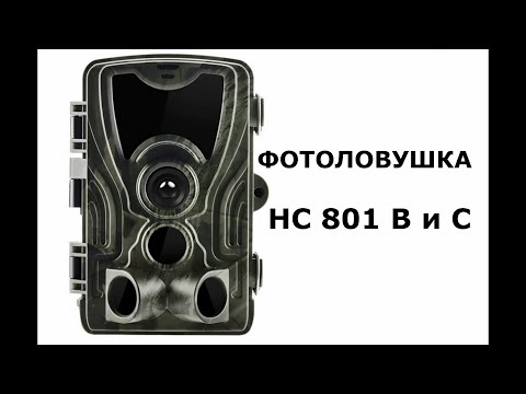 Видео: Бюджетные фотоловушки НС-801В и С на Алиэкспресс