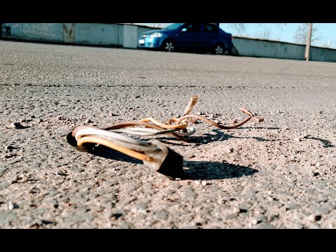 Видео: Собираю ЦветМет на обочине дороги