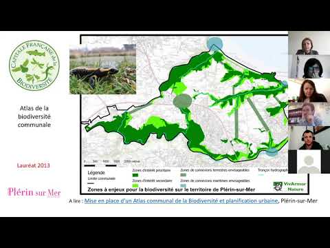 Видео: Водно-зелёный городской каркас и природа в городе: примеры реализованных проектов