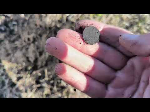 Видео: Коп с ноктой скор, находки есть...