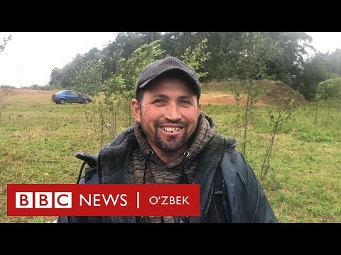 Видео: Қурбон ҳайити: Москвага гўшти "ашаддий" ширин ҳисори қўйлари қаердан келяпти?