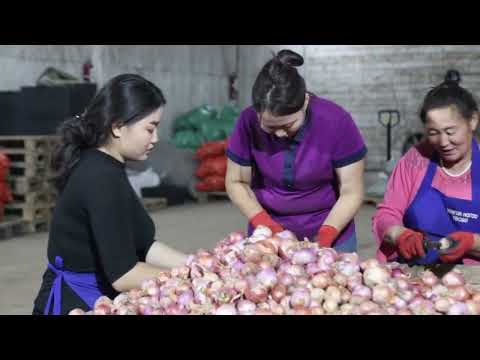 Видео: Хөргүүртэй агуулахын танилцуулга