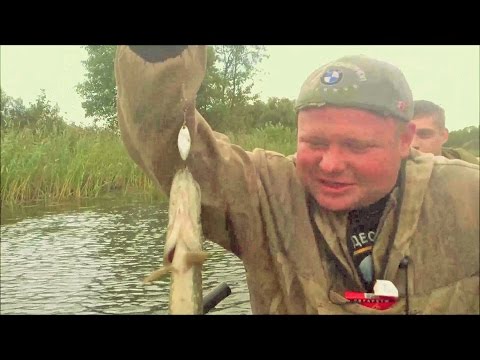 Видео: Рыбалка на щуку, река Лух.
