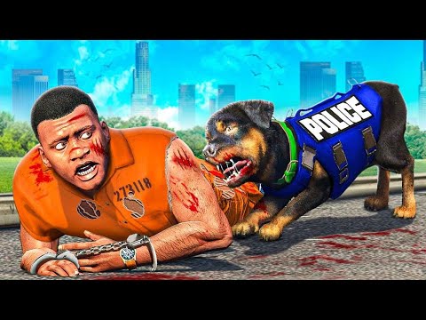 Видео: ЧОП ПОЛИЦИЯ БОЛЫП ФРАНКЛИНДІ ҰСТАДЫ (GTA V)