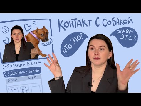 Видео: Контакт с собакой. Как улучшить?