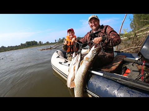 Видео: Ура, Щука на 13… кг! Рыбалка с Сыном на Перемет! Как Выбрать Место для Ловли!