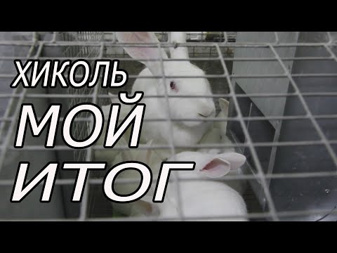 Видео: ОСТАВЛЮ ВСЕГО 7 САМОК